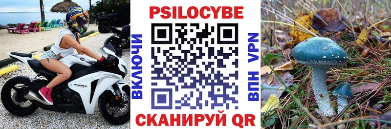 Галлюциногенные грибы мицелий  omg ссылка  Трёхгорный 